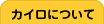 【滋賀／守山】カイロプラクティックさかい（整体／不妊治療／骨盤矯正・調整）について