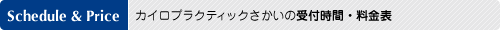 【滋賀／守山】カイロプラクティックさかい（整体／不妊治療／骨盤矯正・調整）の受付時間